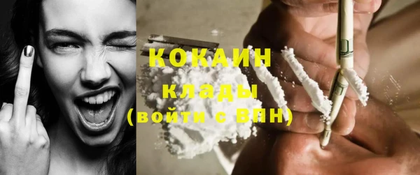 ГАЛЛЮЦИНОГЕННЫЕ ГРИБЫ Коряжма