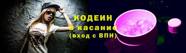 ГАЛЛЮЦИНОГЕННЫЕ ГРИБЫ Коряжма