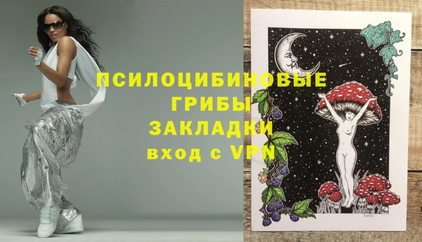 эйфоретик Козловка