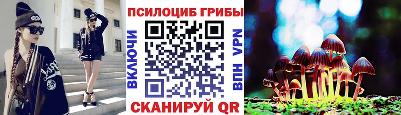 Псилоцибиновые грибы ЛСД  Купить  Борисоглебск 